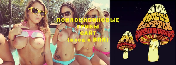 стаф Осташков
