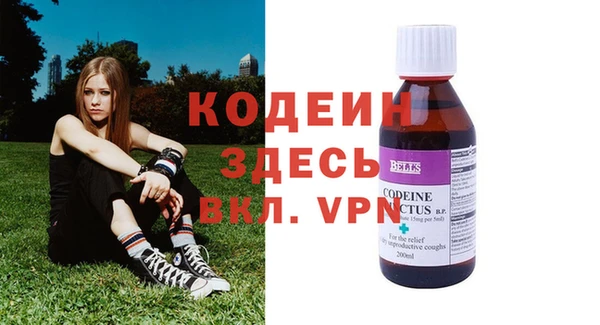амф Няндома