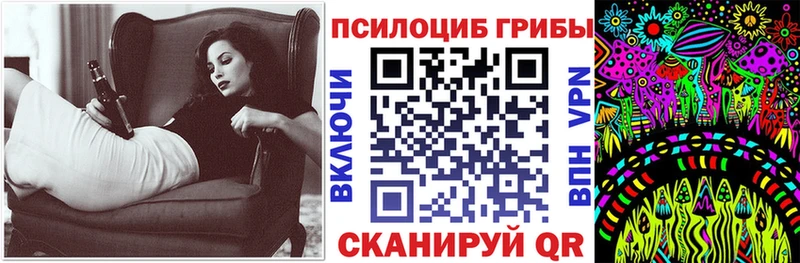 Псилоцибиновые грибы Cubensis  Купить  Карачаевск 